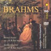 BRAHMS JOHANNES  - DVD CHAMBER MUSIC -DVDA-