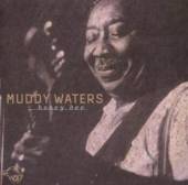 WATERS MUDDY  - CD HONEY BEE