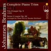 BRAHMS JOHANNES  - CD COMPLETE PIANO TRIOS 1