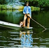 TAYLOR JAMES  - CD ONE MAN DOG