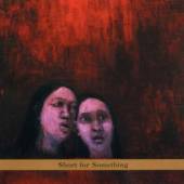 NEW KLEZMER TRIO  - CD SHORT FOR SOMETHING