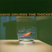 GRUBBS DAVID  - CD THICKET