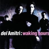 DEL AMITRI  - CD WAKING HOURS