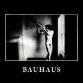 BAUHAUS  - CD IN THE FLAT FIELD