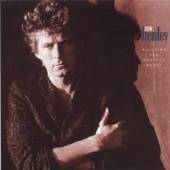 DON HENLEY  - CD BUILDING THE PERFECT BEAST