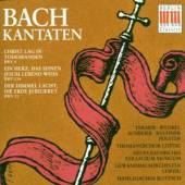 SCHREIER/ROTZSCH/THOMANERCHOR/  - CD OSTERKANTATEN-BWV 4/134/31