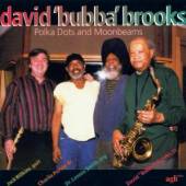 BROOKS DAVID BUBBA  - CD POLKA DOTS AND MOONBEAMS
