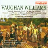 VAUGHAN WILLIAMS R.  - CD NORFOLK RHAPSODY/LARK ASC