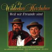 WILDECKER HERZBUBEN  - CD WEIL WIR FREUNDE SIND