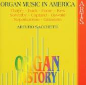 SACCHETTI ARTURO  - CD ORGAN HISTORY:IN..