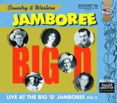 VARIOUS  - CD LIVE AT BIG D..2 -25TR-