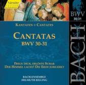 RILLING - CUCCARO - AUGER  - CD BACH - KANTATEN BWV 30-31