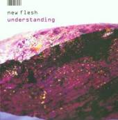 NEW FLESH FOR OLD  - CD UNDERSTANDING