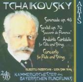 TCHAIKOVSKY  - CD MUSIC FOR STR FL CON