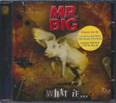 MR. BIG  - CD WHAT IF