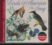  BIRDS OF AMERICA IN SONG / VARIOUS - suprshop.cz