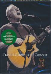 GILMOUR DAVID  - DVD IN CONCERT /5.1/130M/ 2002