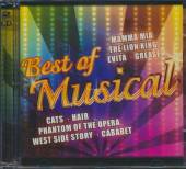 VARIOUS  - 2xCD BEST OF MUSICAL