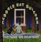 CYMBALS EAT GUITARS  - CD WHY THERE ARE MOUNTAINS