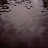 TARENTEL  - CD WE MOVE THROUGH WEATHERS