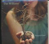 WILLIAMS DAR  - CD PROMISED LAND