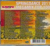  SPRINGDANCE 2011 MEGAMIX TOP 100 - supershop.sk