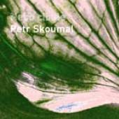 SKOUMAL PETR  - CD NEBO CIBULE