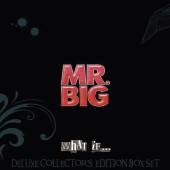 MR.BIG  - BCD (D) WHAT IF ...