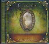 CICCADA  - CD CHILD IN THE MIRROR