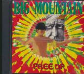 BIG MOUNTAIN  - CD FREE UP