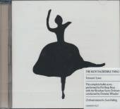 PET SHOP BOYS  - CD THE MOST INCREDIBLE THING