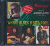 VARIOUS  - CD WHERE BLUES MEETS ROCK 7