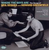 VARIOUS  - CD WHERE THE BOYS AR..