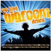 VARIOUS  - 2xCD WE LOVE BIG ROOM