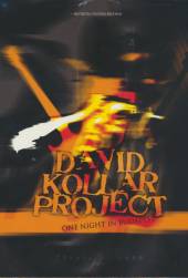 KOLLAR DAVID PROJECT  - DVD ONE NIGHT IN BUDAPEST