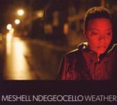 NDEGEOCELLO ME'SHELL  - CD WEATHER