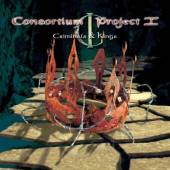 CONSORTIUM PROJECT 1  - CD CRIMINALS & KINGS