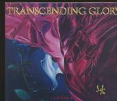 WILD STEEL  - CD TRANSCENDING GLORY