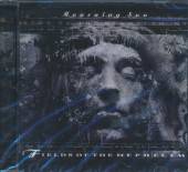 FIELDS OF THE NEPHILIM  - CD MORUNING SUN