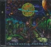 RINGS OF SATURN  - CD EMBRYONIC ANOMALY