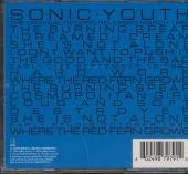  SONIC YOUTH EP + 8 - supershop.sk