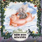 SKOUMAL PETR  - CD KDYBY PRASE MELO KRIDLA