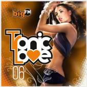 VARIOUS  - 2xCD BIGFM TRONIC LOVE VOL.6