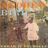 BIRD ANDREW  - CD BREAK IT YOURSELF