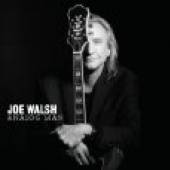 WALSH JOE  - CD ANALOG MAN