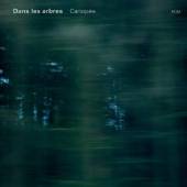 DANS LES ARBRES  - CD CANOPEE