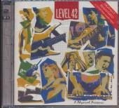 LEVEL 42  - CD PHYSICAL PRESENCE