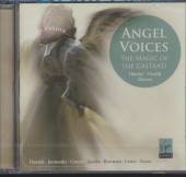 VARIOUS  - CD ANGEL VOICES: THE..