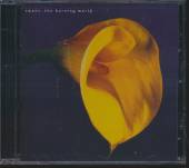 SWANS  - CD BURNING WORLD