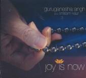SINGH GURU GANESHA  - CD JOY IS NOW